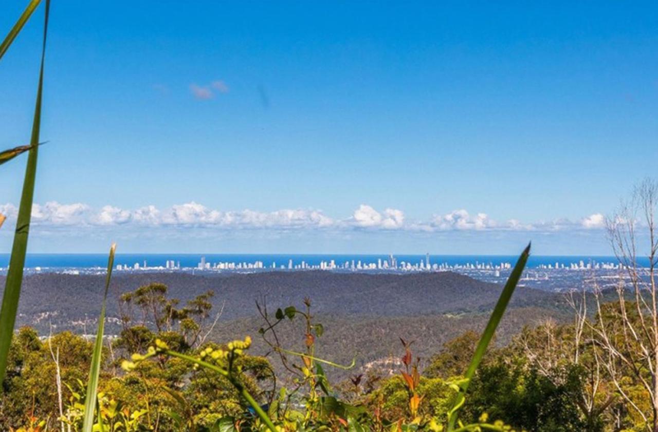 Sky Island Studios Mount Tamborine Exteriör bild