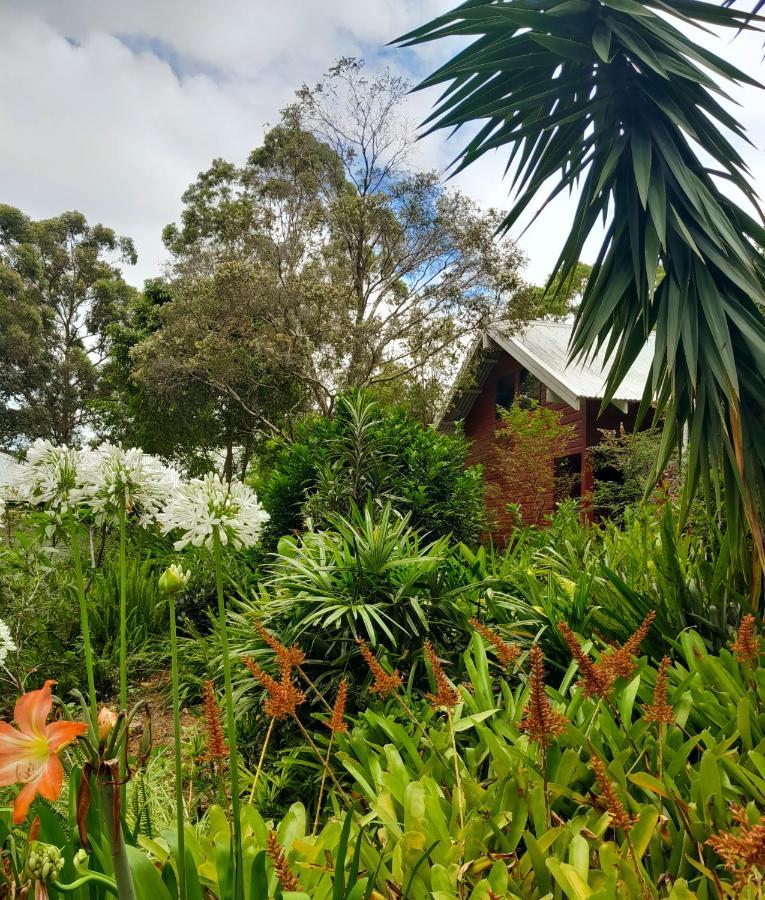 Sky Island Studios Mount Tamborine Exteriör bild