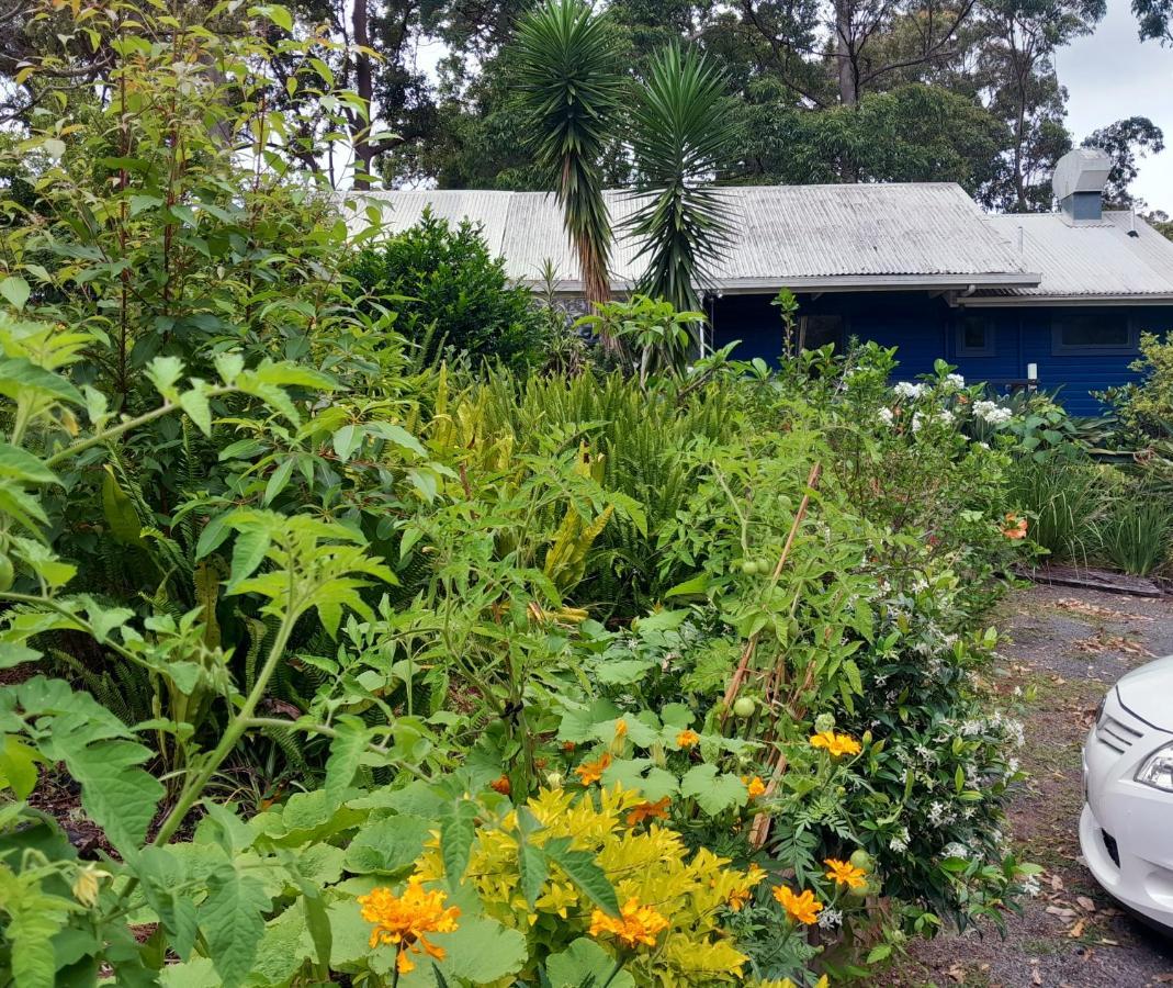 Sky Island Studios Mount Tamborine Exteriör bild